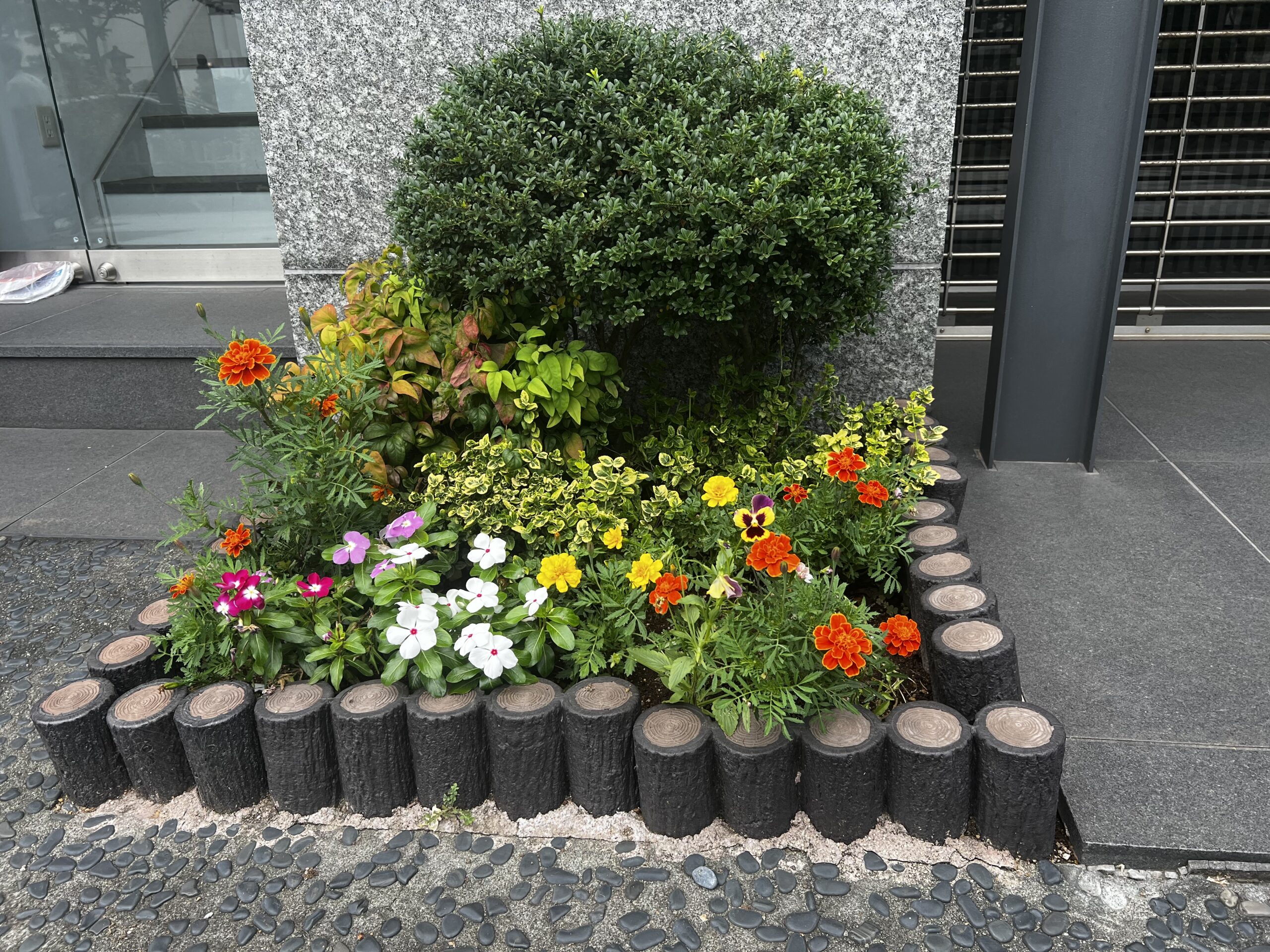 Kamakura: A Whisper Between Earth and Sky