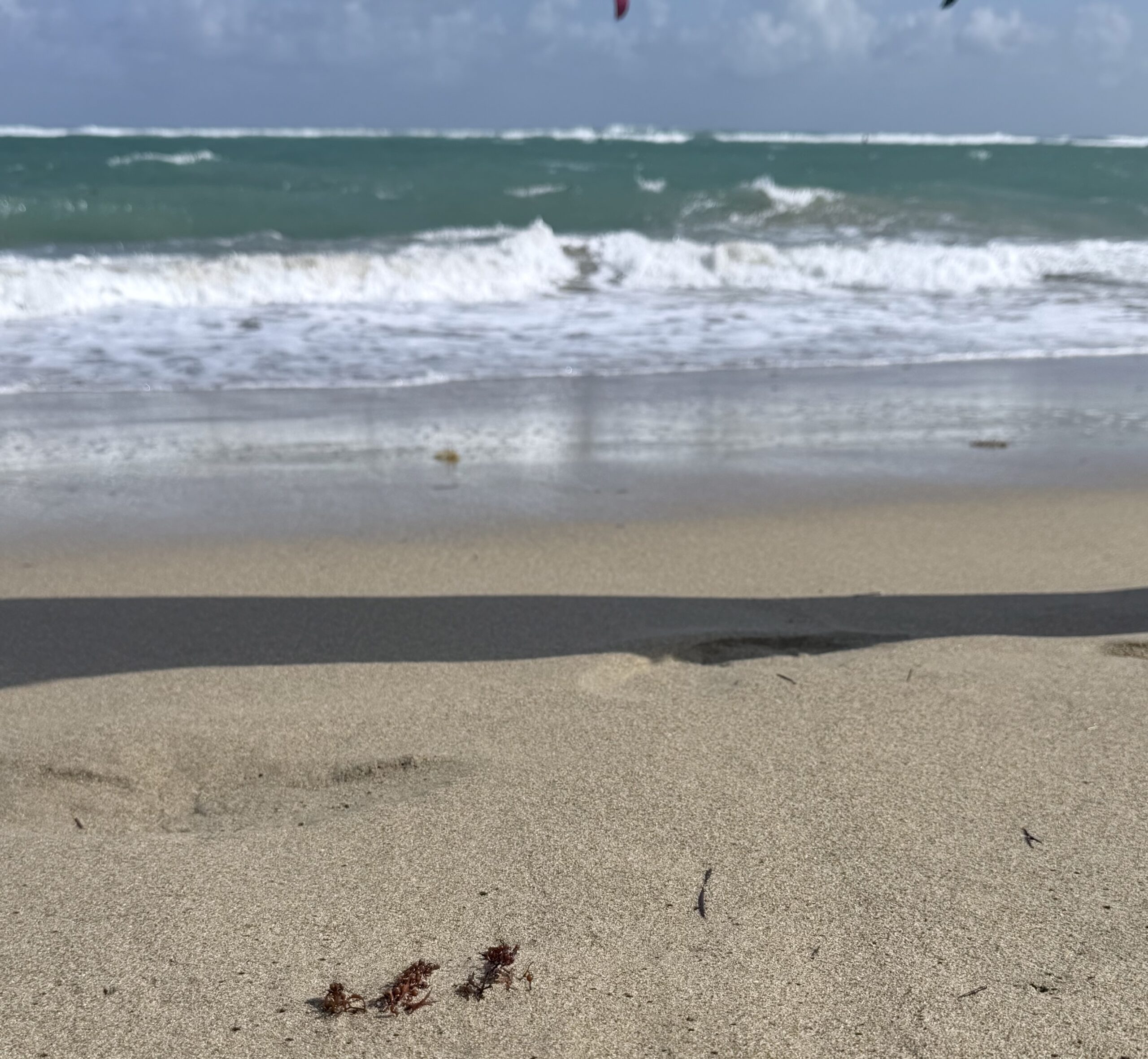 Cabarete: Where the Caribbean Breathes