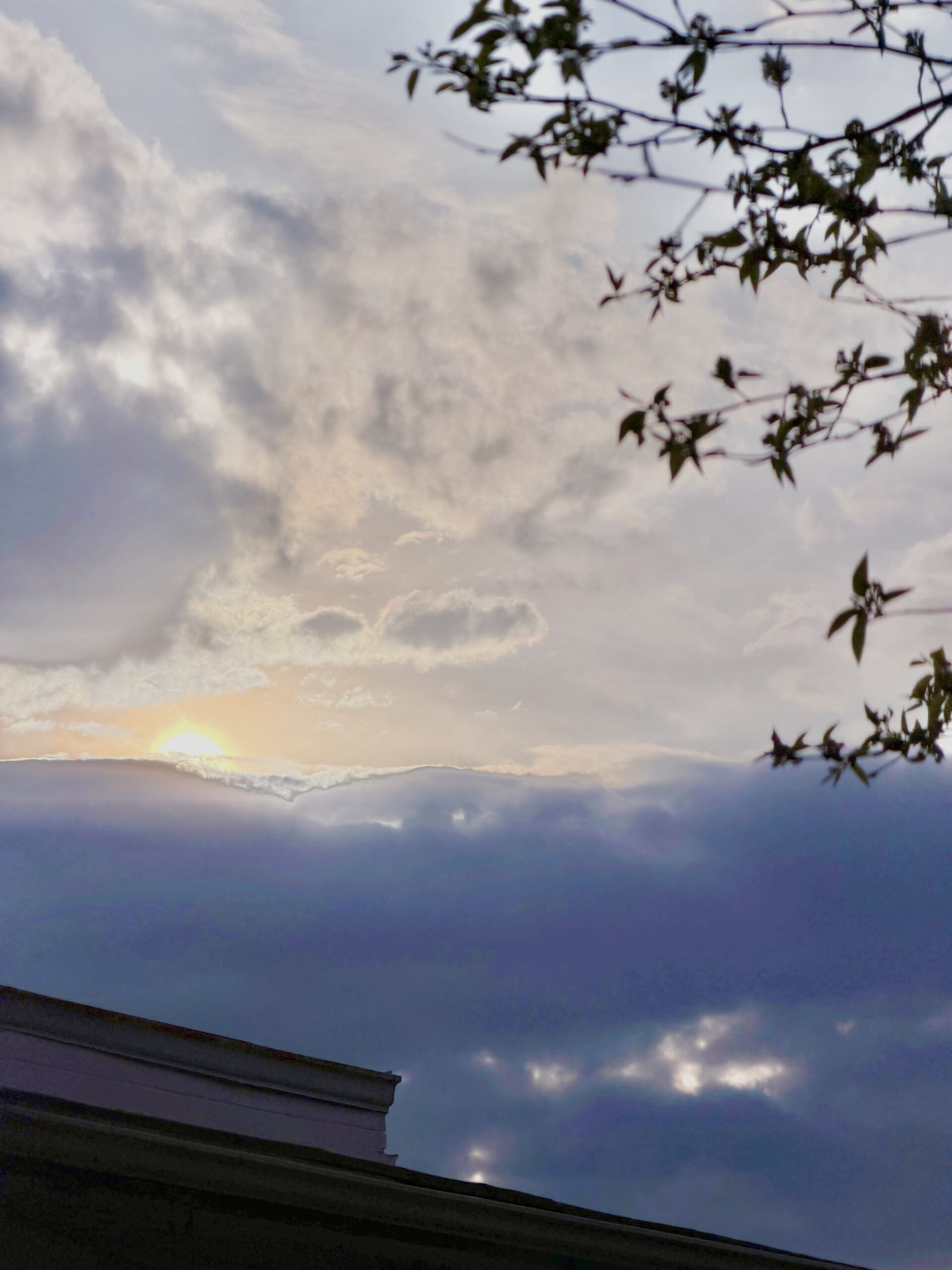 Spring: D.C. & Virginia